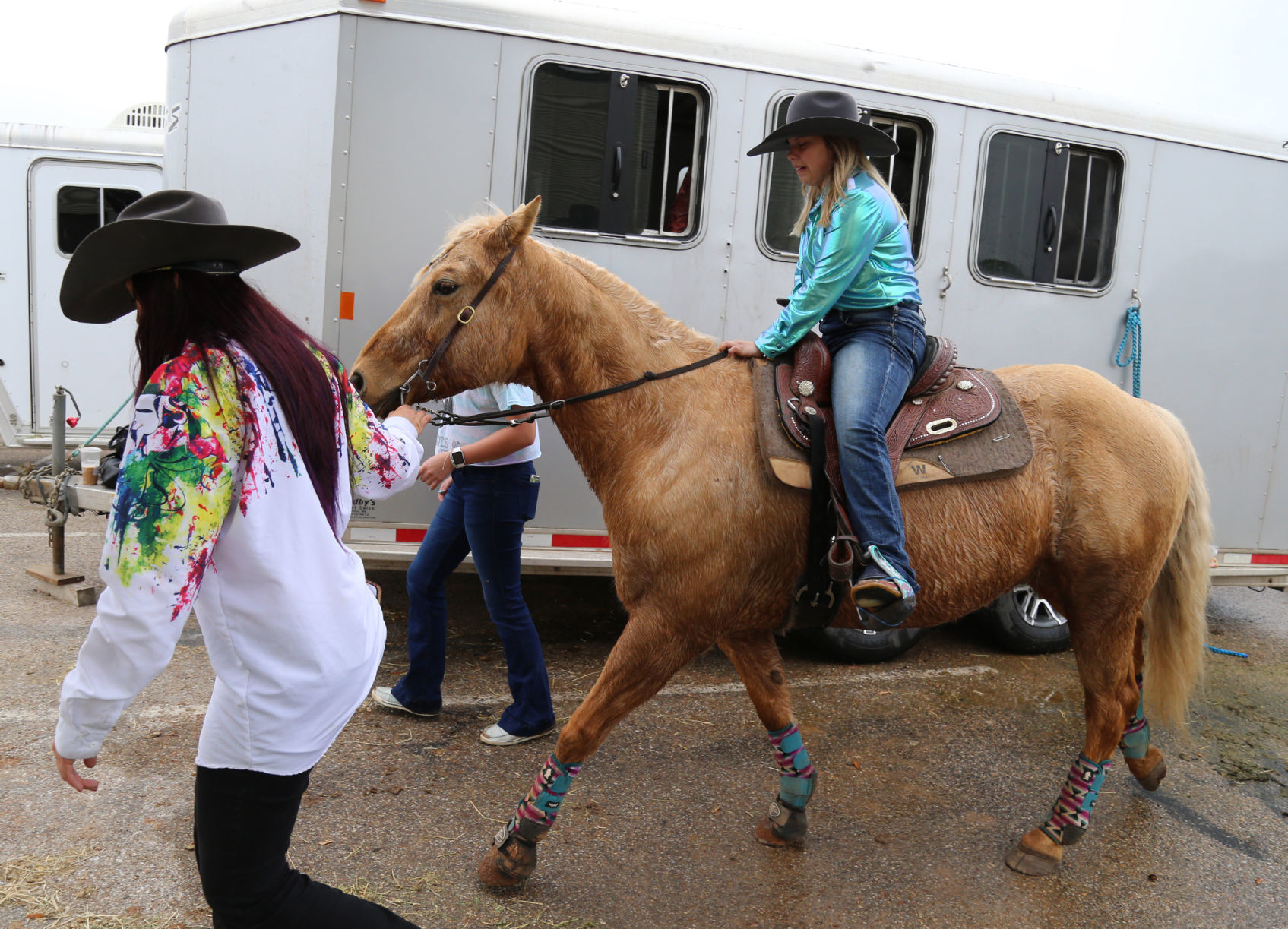 Horses